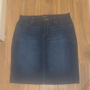 Stylish Dark Blue Denim Pencil Skirt